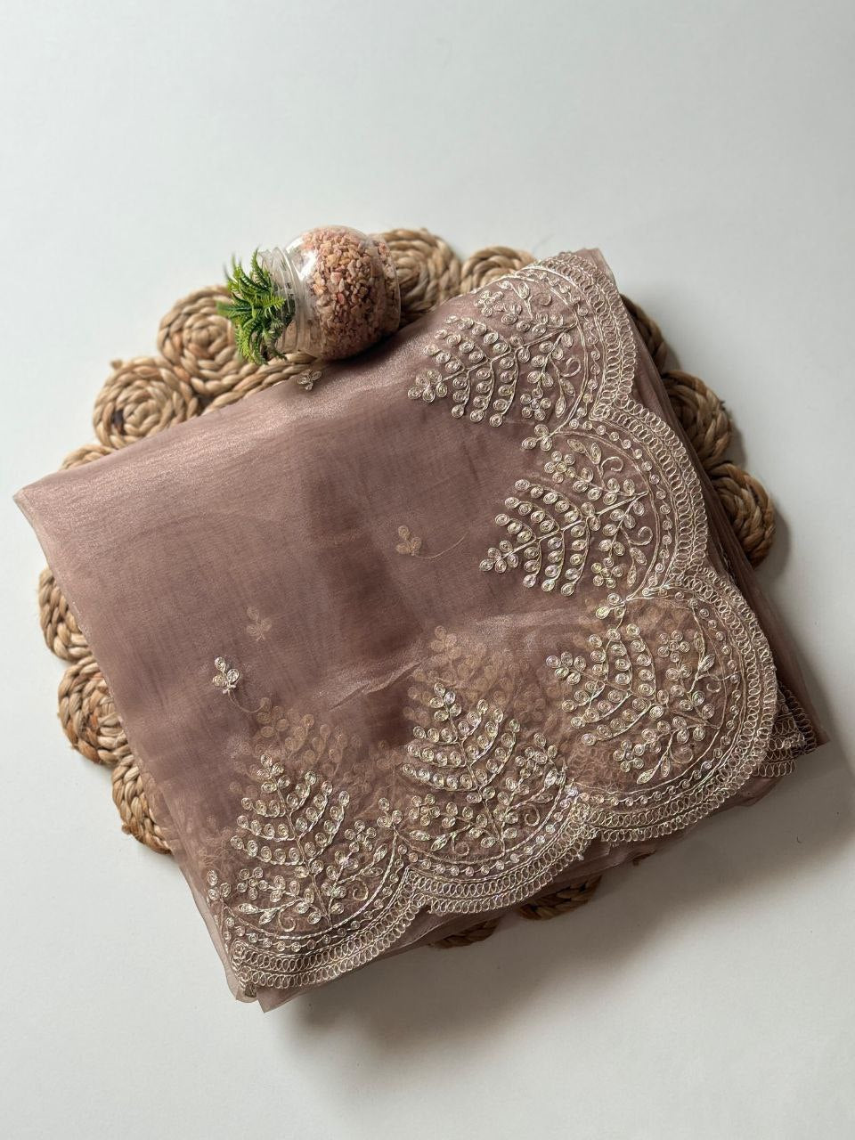 Elegant Beige Coffee Organza Tissue Saree with Embroidered Pallu & Banglori Silk Blouse Piece