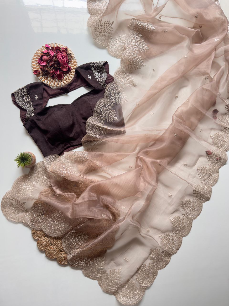 Elegant Beige Coffee Organza Tissue Saree with Embroidered Pallu & Banglori Silk Blouse Piece