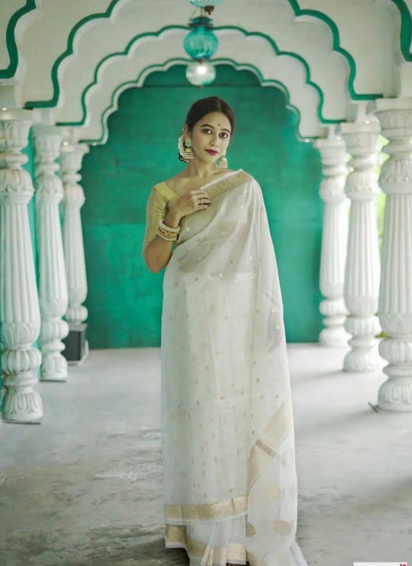 Beautiful Rich Pallu Slab Weaving Designer Saree With Fancy Blouse
