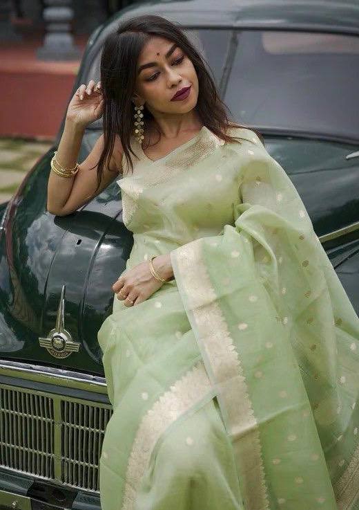 Beautiful Rich Pallu Slab Weaving Designer Saree With Fancy Blouse