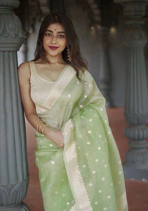 Beautiful Rich Pallu Slab Weaving Designer Saree With Fancy Blouse