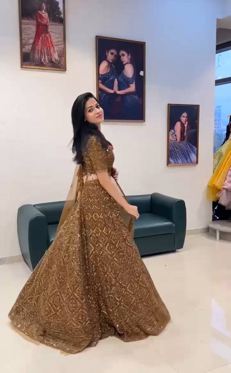 Rust Color Sequence Work Soft Net Lehenga Choli