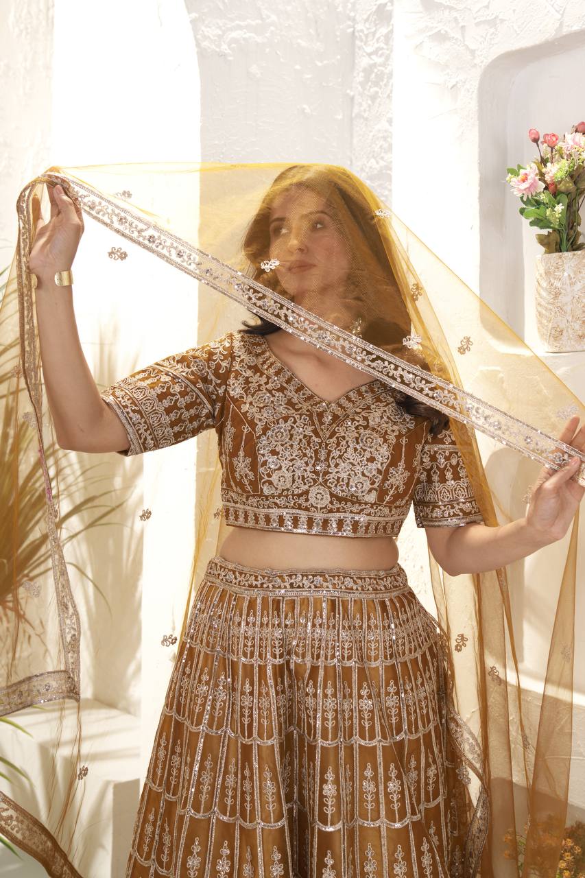 Rust Color Soft Net Sequence Work Lehenga Choli