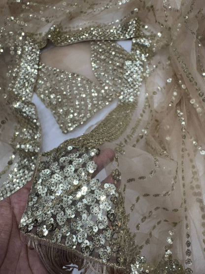 Golden Glow Net Saree with Sequins Work and Designer Blouse