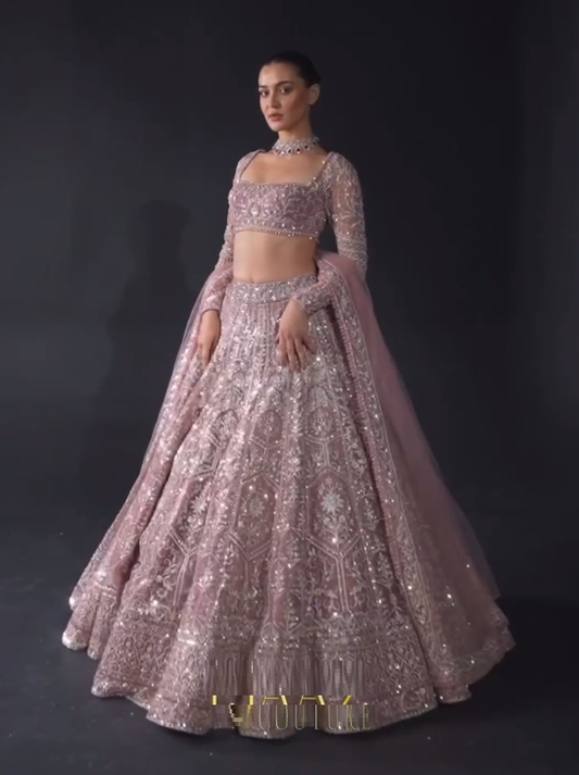 Light Color Net Heavy Sequence Work Lehenga Choli