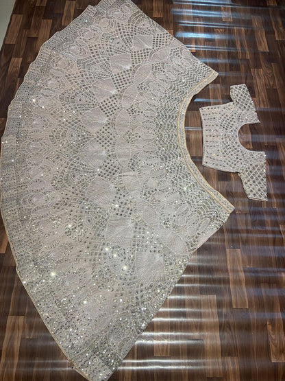 Biege Premium Net Embroidered Lehenga Choli
