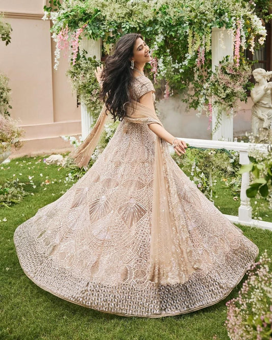 Biege Premium Net Embroidered Lehenga Choli