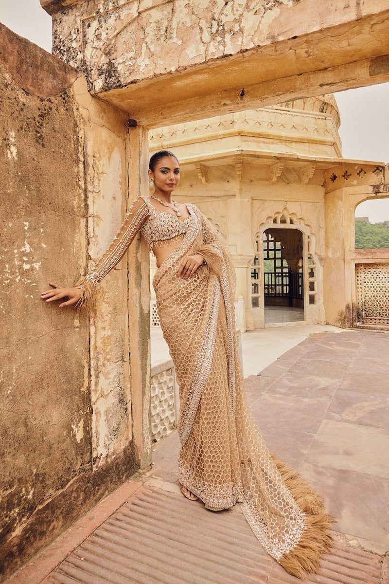 Cream Soft Net Sequence Embroidered Saree Blouse