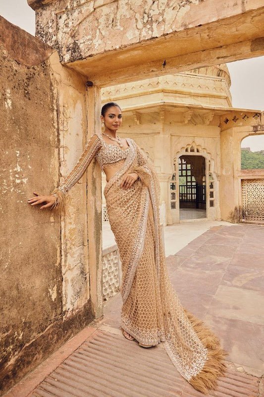 Cream Soft Net Sequence Embroidered Saree Blouse