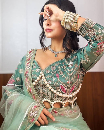 Sky Color Soft Net Saree With Heavy Pearl HandWork Blouse