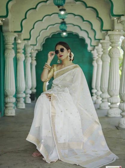 Beautiful Rich Pallu Slab Weaving Designer Saree With Fancy Blouse