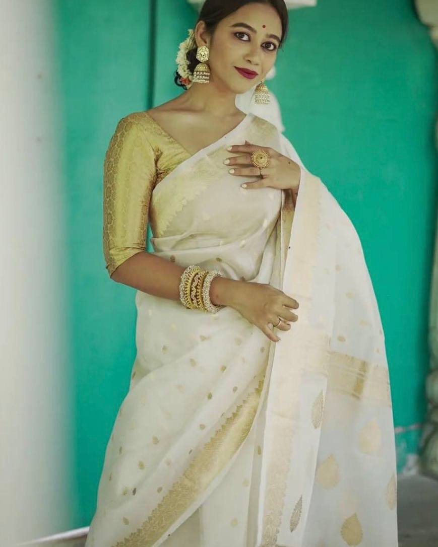Beautiful Rich Pallu Slab Weaving Designer Saree With Fancy Blouse