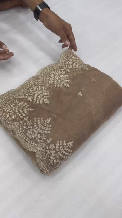 Elegant Beige Coffee Organza Tissue Saree with Embroidered Pallu & Banglori Silk Blouse Piece