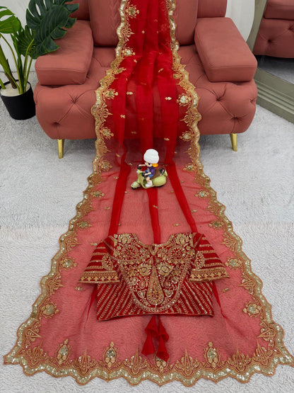 Red Color Heavy Organza Silk Saree Blouse