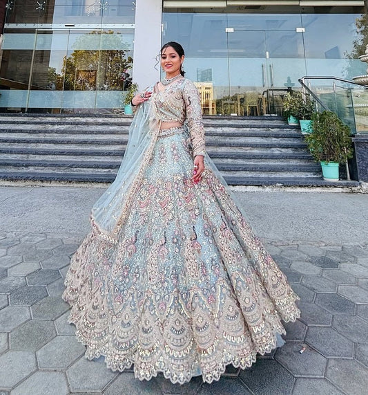 Peacock Design Light Sky Color Soft Net Coding Embroidered Work  Lehenga Choli