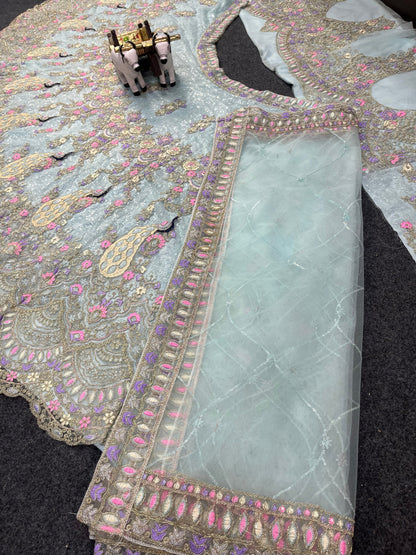 Sky Color Soft Net Coding Embroidered Work Peacock Design Lehenga Choli