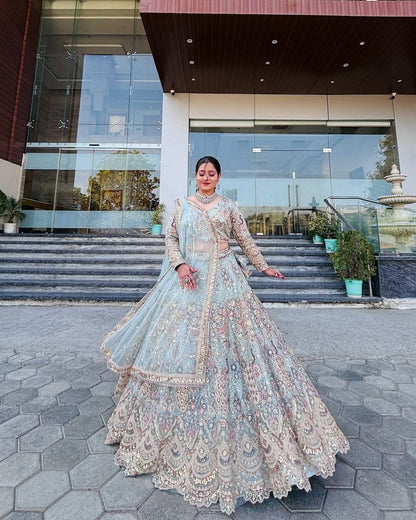 Sky Color Soft Net Coding Embroidered Work Peacock Design Lehenga Choli