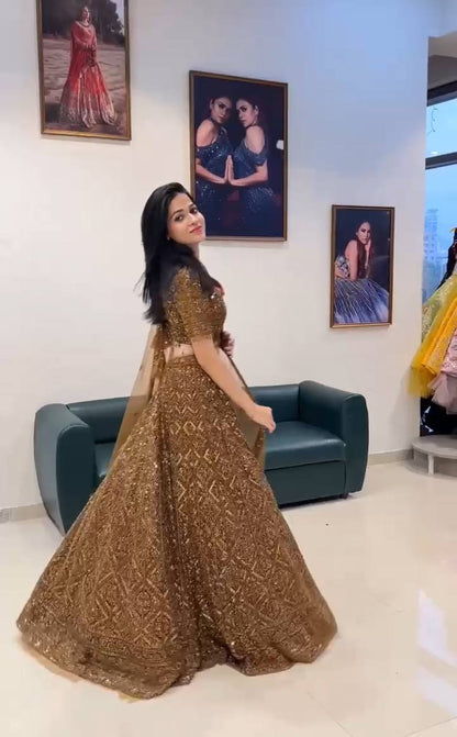 Rust Color Sequence Work Soft Net Lehenga Choli
