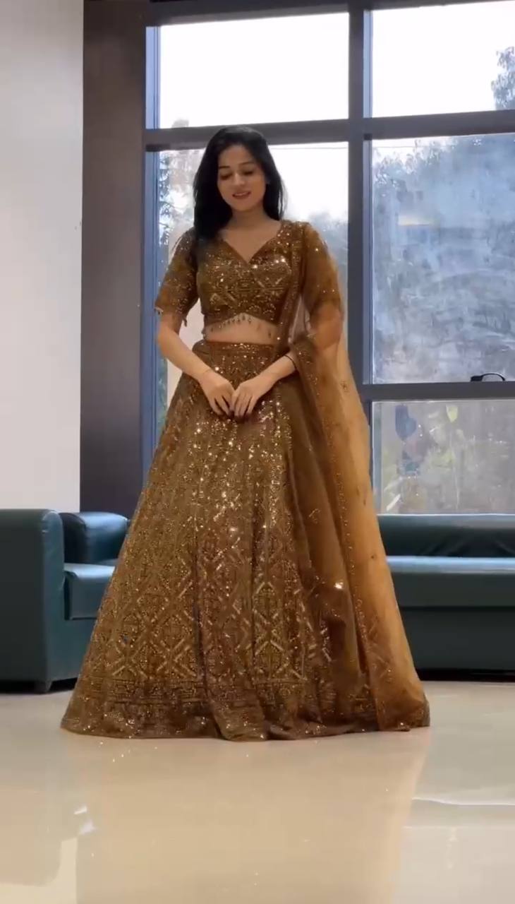 Rust Color Sequence Work Soft Net Lehenga Choli