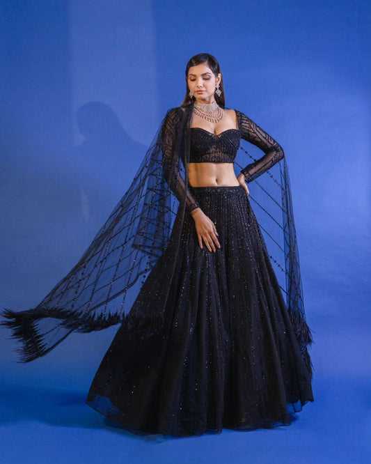 Black Soft Net Embroidered Semi Stitched Lehenga Choli